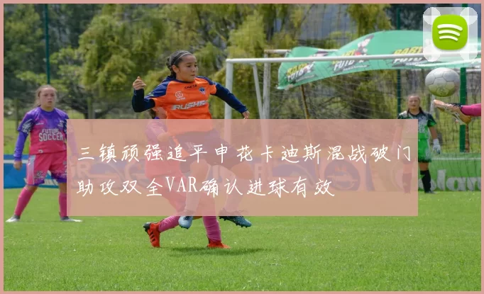 三镇顽强追平申花卡迪斯混战破门助攻双全VAR确认进球有效