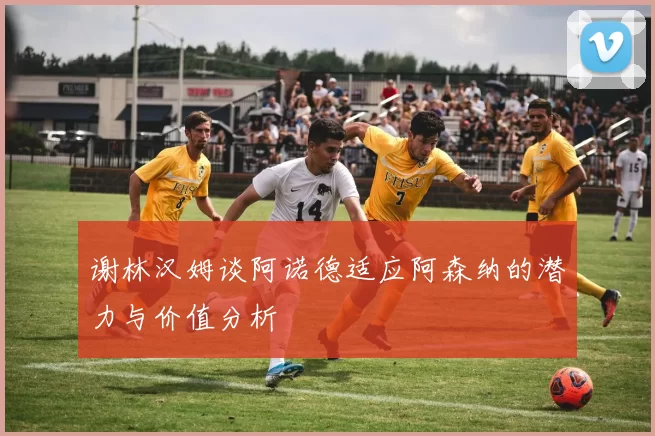 谢林汉姆谈阿诺德适应阿森纳的潜力与价值分析